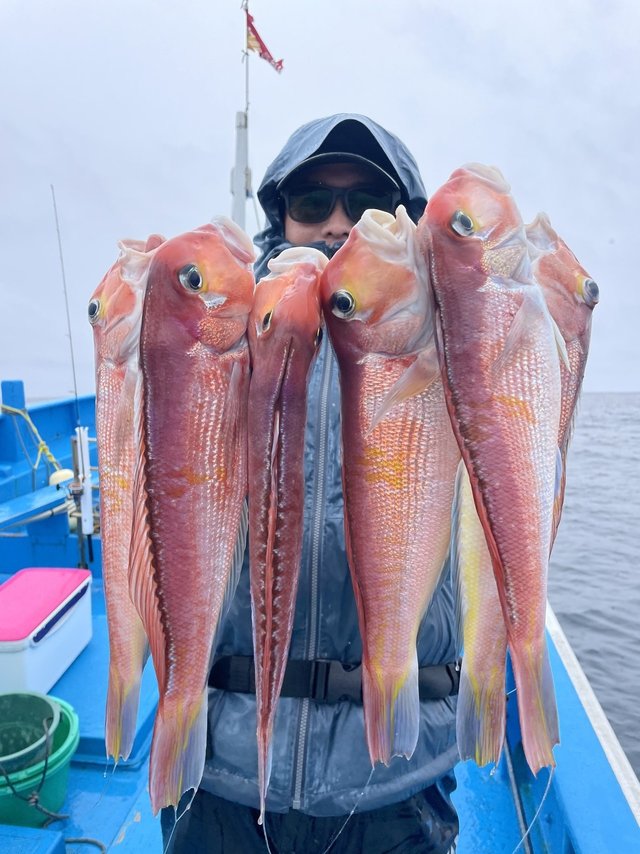 アマダイ(アカアマダイ)