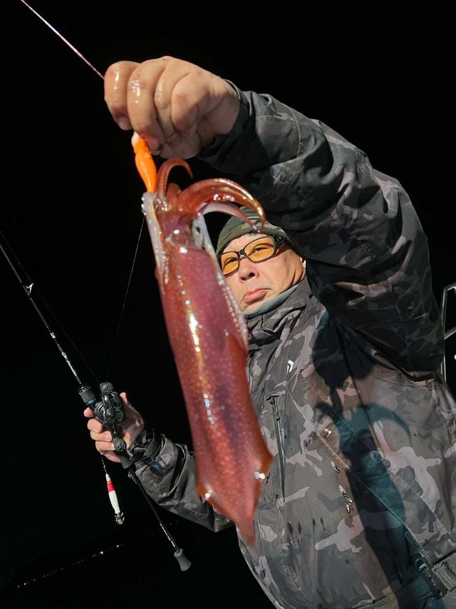 マルイカ(ケンサキイカ)