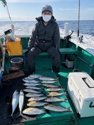 マアジ・イサギ(イサキ)・サバ(ゴマサバ)