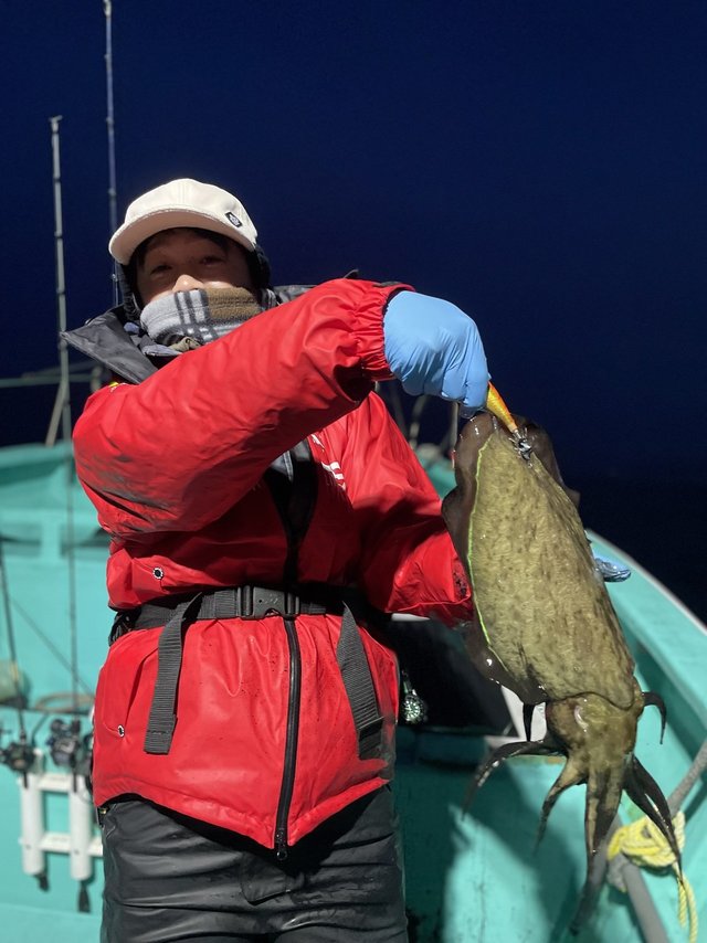 モンゴー(カミナリイカ)