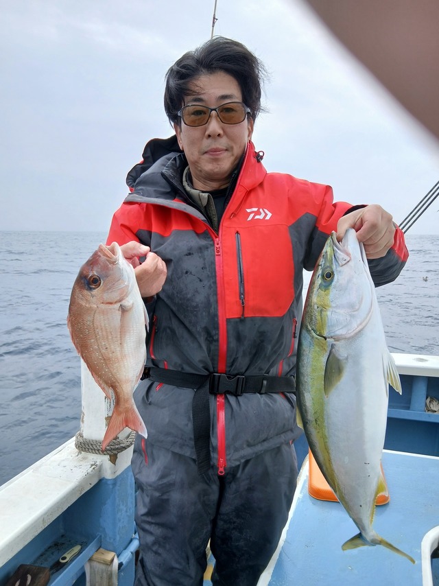 マダイ・ワラサ(ブリ)