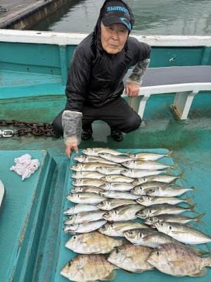 アジ(マアジ)・メイチダイ
