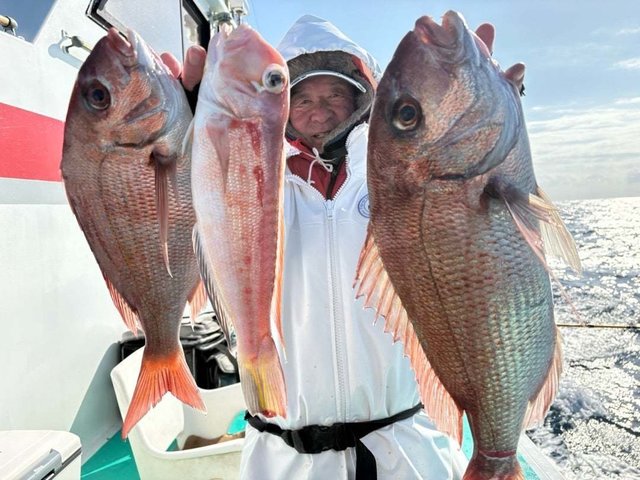 マダイ・アマダイ(アカアマダイ)