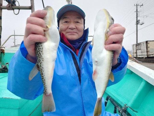 ショウサイフグ