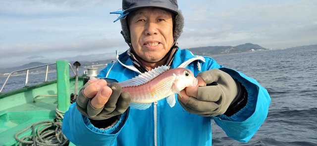 アマダイ(アカアマダイ)