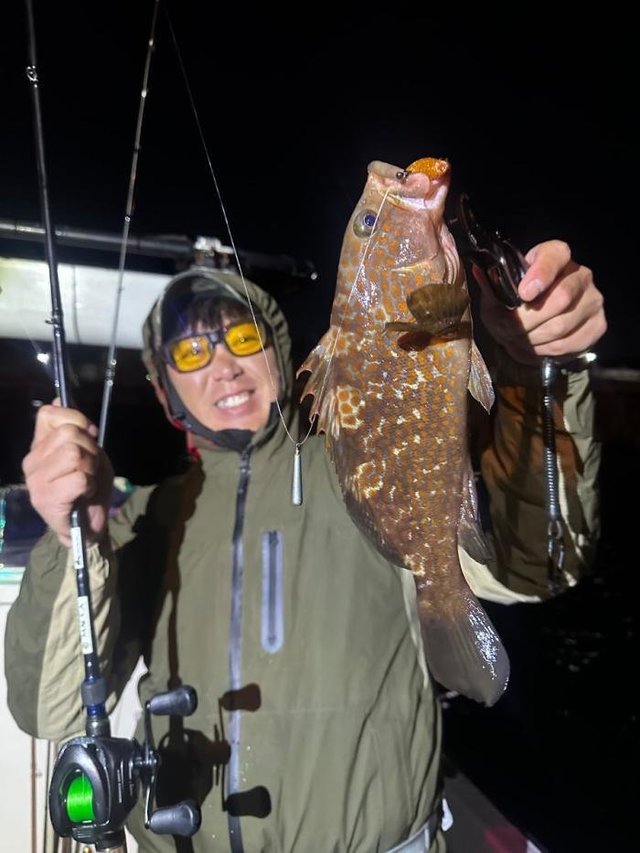 アコウ(キジハタ)