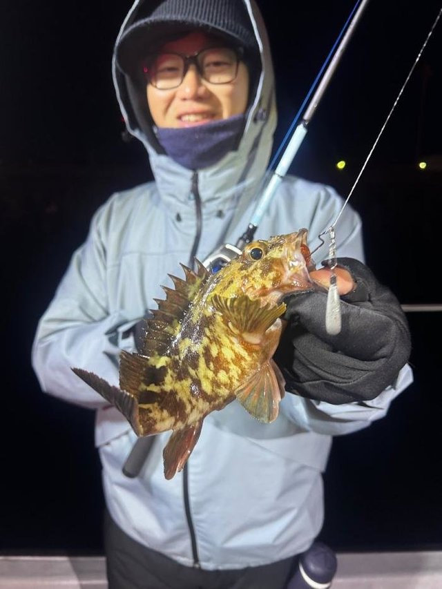 ガシラ(カサゴ)