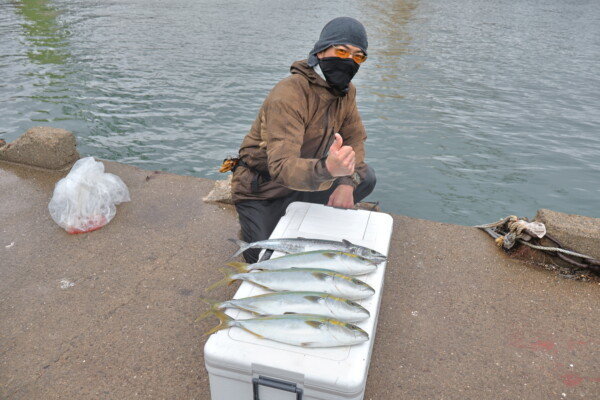 ハマチ(ブリ)・サゴシ(サワラ)