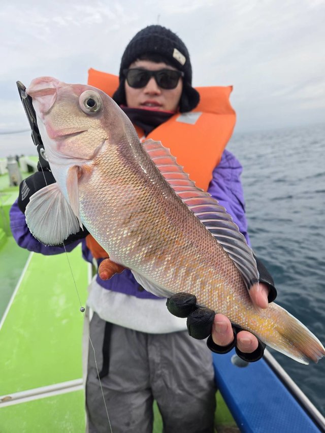 アマダイ(アカアマダイ)