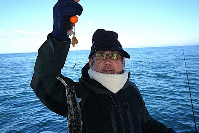 ショウサイフグ