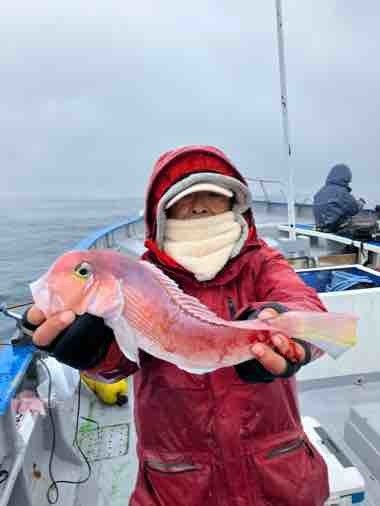 アマダイ(アカアマダイ)