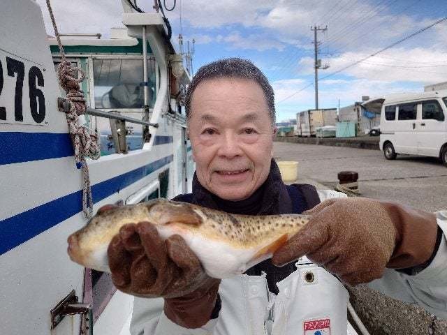 ヒガンフク(ヒガンフグ)