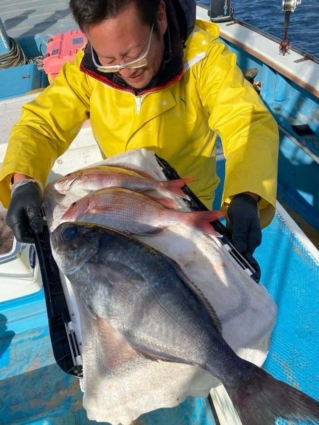 マダイ・メダイ