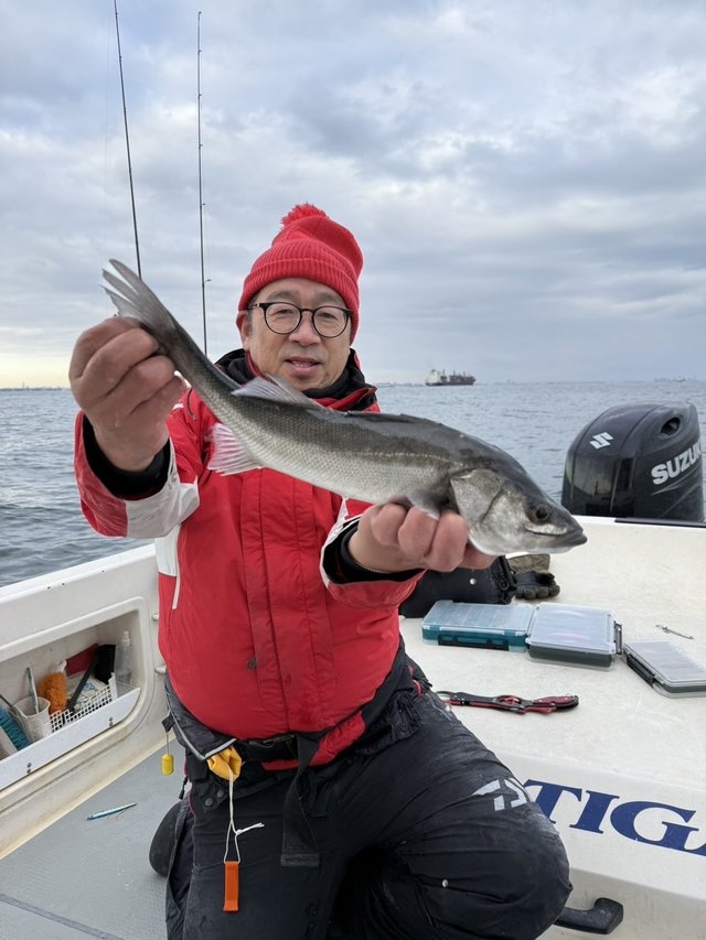 シーバス(スズキ)