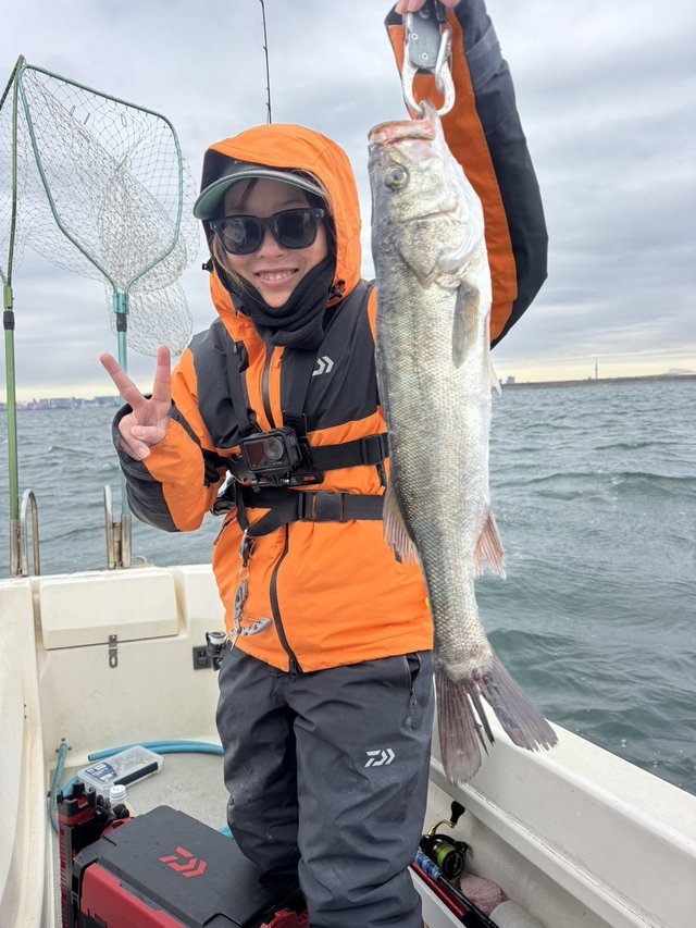 シーバス(スズキ)