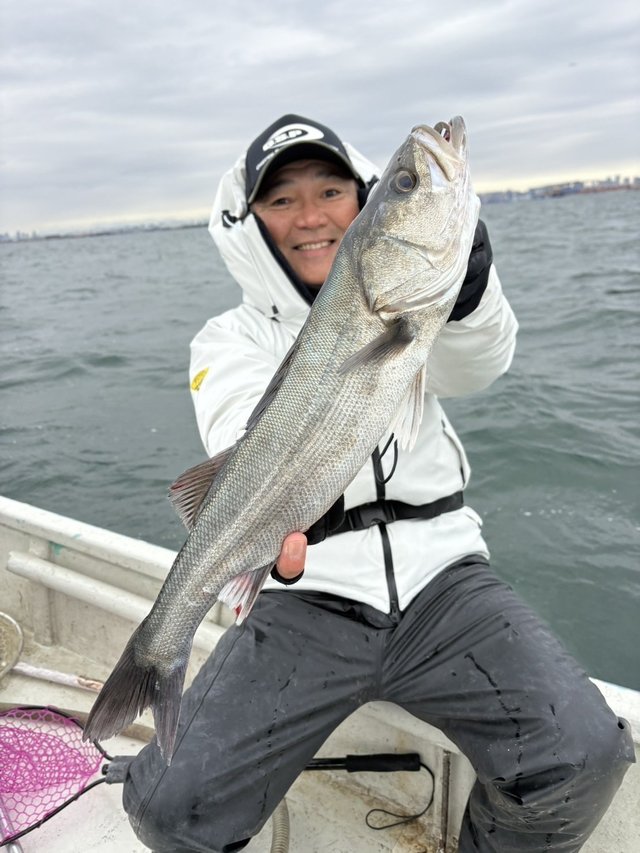 シーバス(スズキ)