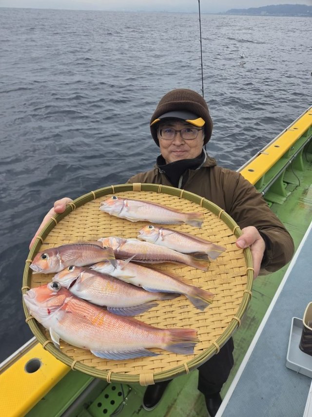 アマダイ(アカアマダイ)・シロアマダイ