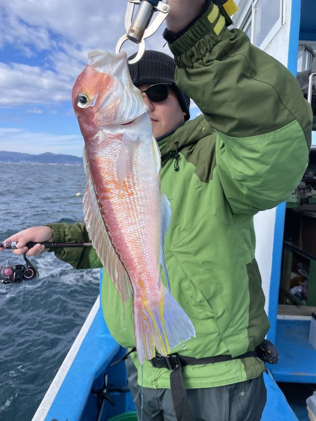 アマダイ(アカアマダイ)