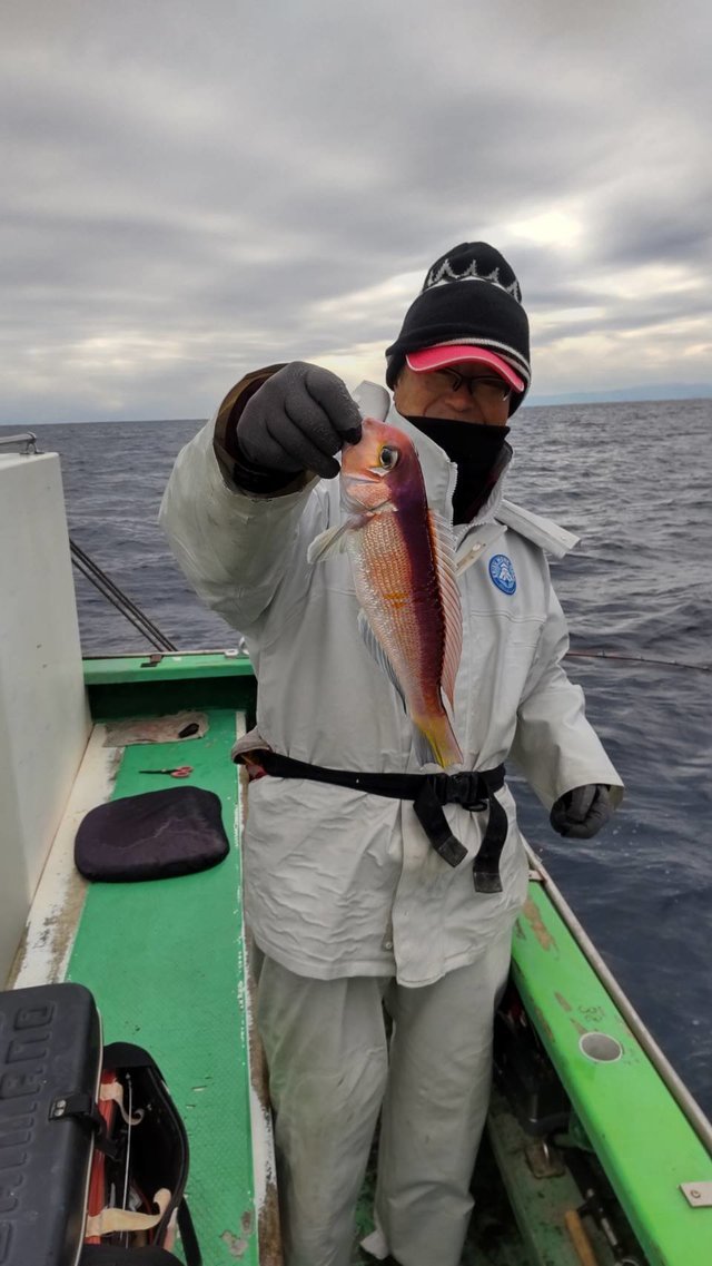 アマダイ(アカアマダイ)