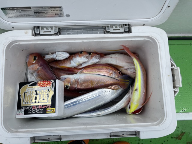 アマダイ(アカアマダイ)