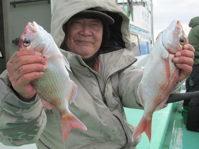 ハナダイ(チダイ)