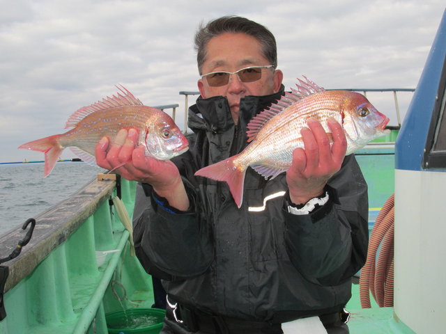 ハナダイ(チダイ)