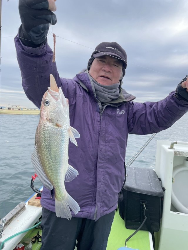 イシモチ(シログチ)