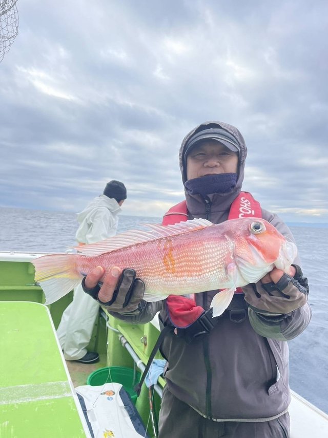 アマダイ(アカアマダイ)