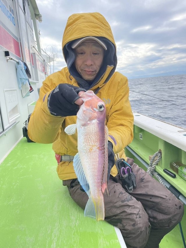 アマダイ(アカアマダイ)