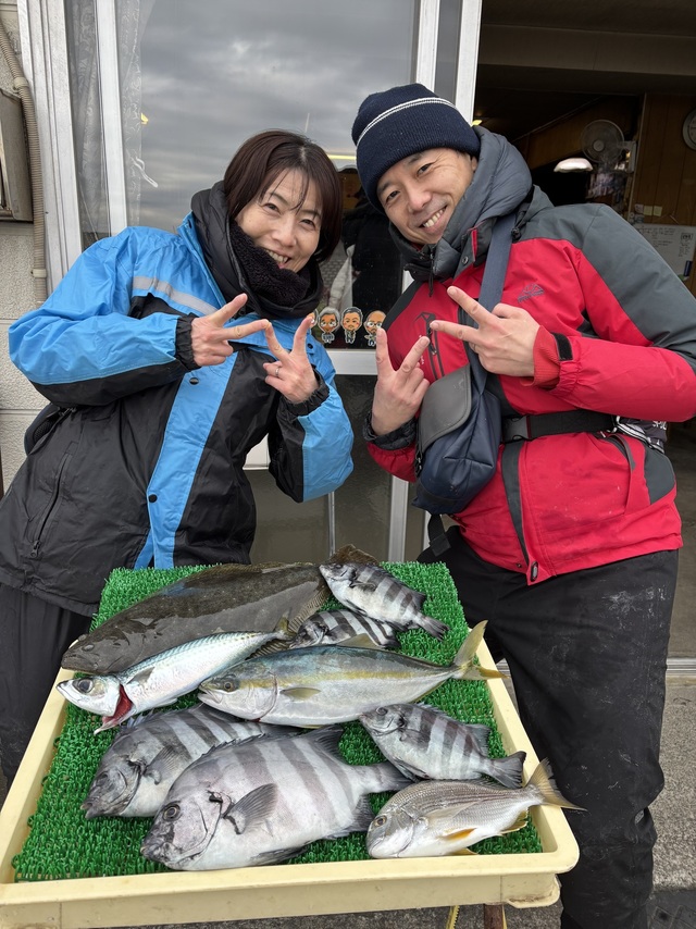 イシダイ・ヒラメ