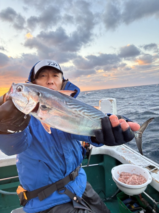 ヤイトガツオ(スマ)