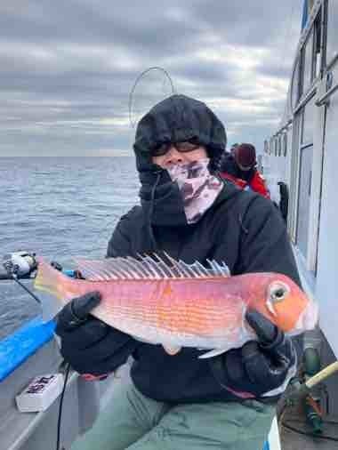 アマダイ(アカアマダイ)