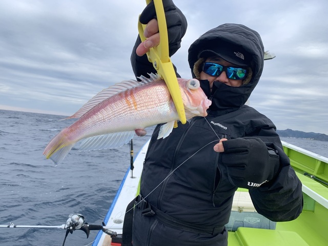 アマダイ(アカアマダイ)