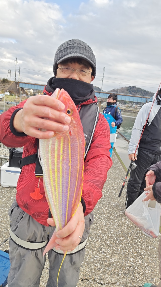 イトヨリ(イトヨリダイ)