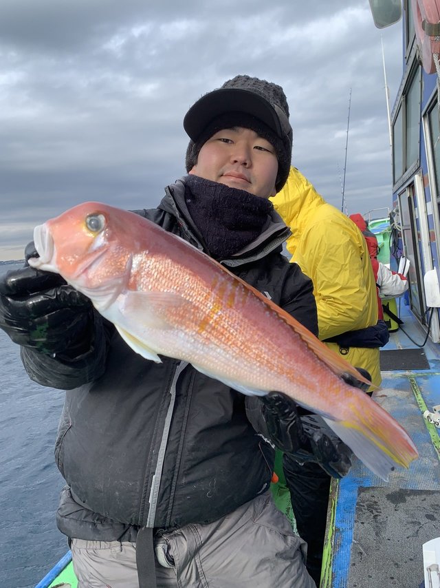 アマダイ(アカアマダイ)