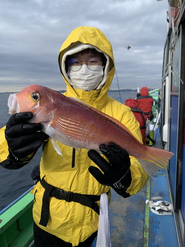 アマダイ(アカアマダイ)