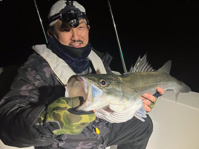 シーバス(スズキ)