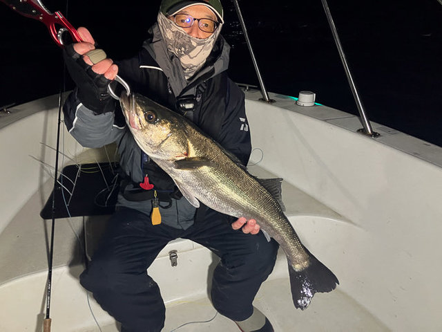 シーバス(スズキ)