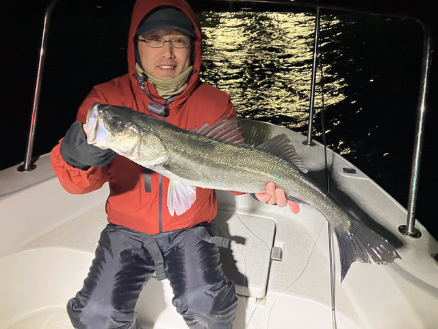 シーバス(スズキ)