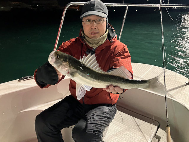 シーバス(スズキ)