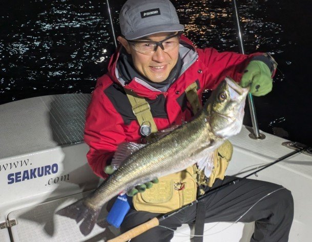 シーバス(スズキ)