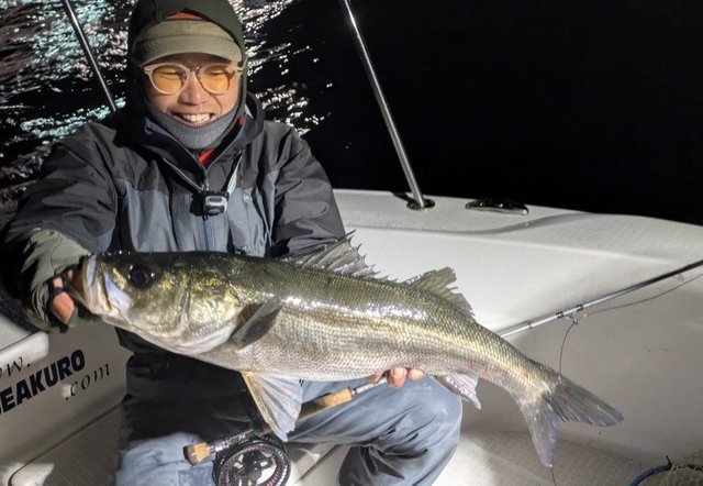 シーバス(スズキ)