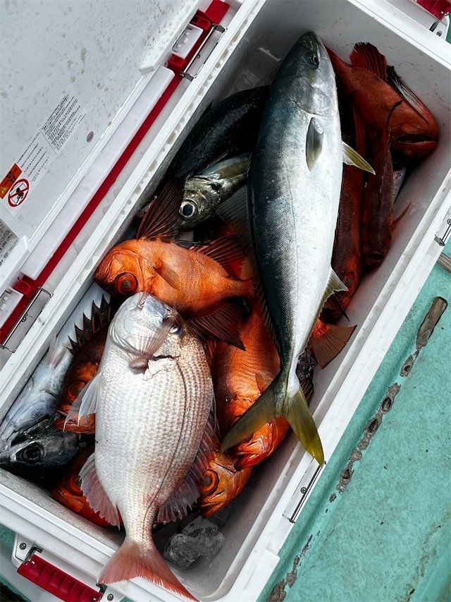 チカメキントキ