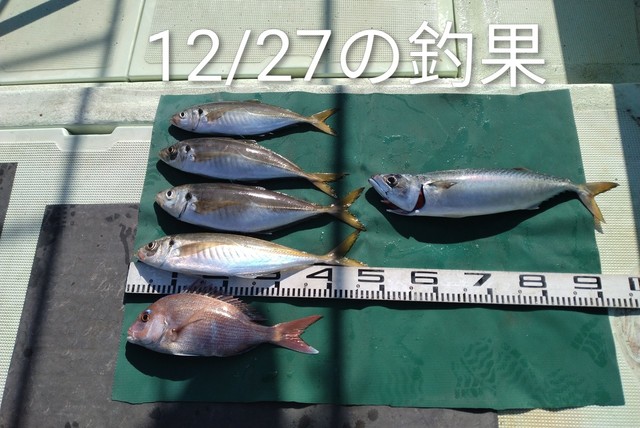 マダイ・マアジ・マサバ