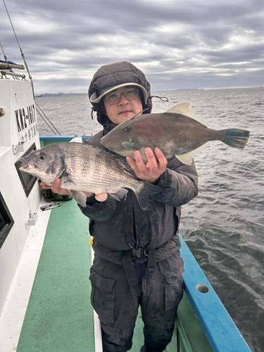 クロダイ・ウマズラ(ウマヅラハギ)