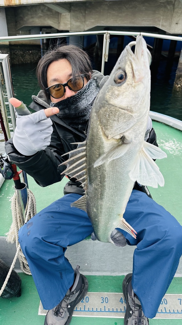 シーバス(スズキ)