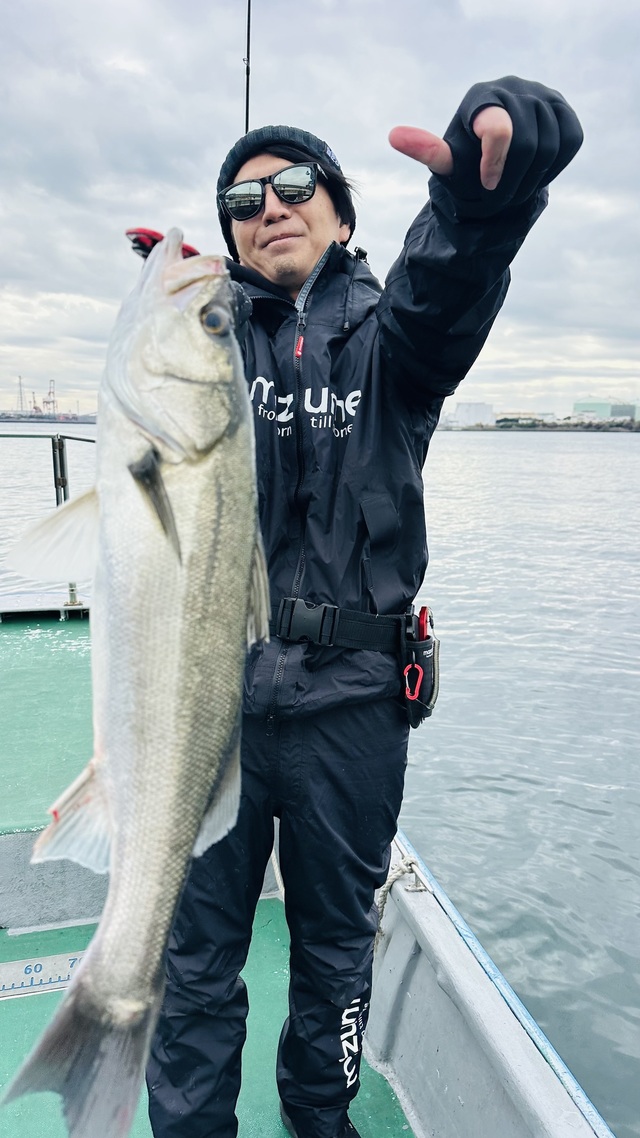 シーバス(スズキ)