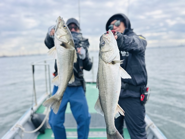 シーバス(スズキ)