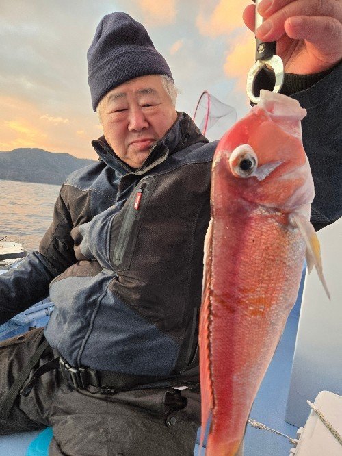 アマダイ(アカアマダイ)