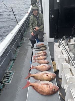 マダイ・コダイ(マダイ)・イサキ・チカメ(チカメキントキ)